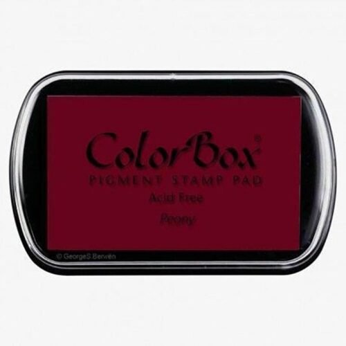 Colorbox stamp 19016 peony